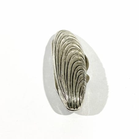 shell-shaped collectable tablet holder
