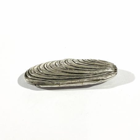 shell-shaped collectible pill box