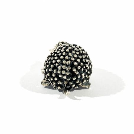 Italian silver hedgehog miniature back