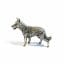 Westmark 045858 - Stampo per biscotti zampa di cane 2D, 6 cm acquista a buon prezzo su