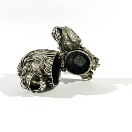 portapillole in argento leone