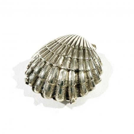 Shell-shaped pill holder