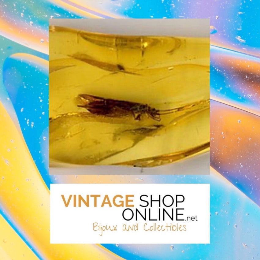 You are currently viewing Ambra